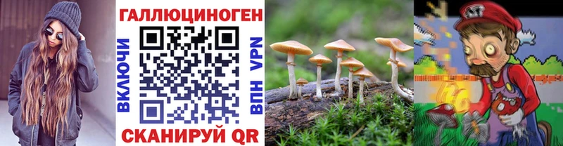 Галлюциногенные грибы GOLDEN TEACHER  цена наркотик  Ивангород 